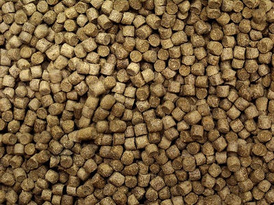 Hayvan Yemi Üretimi